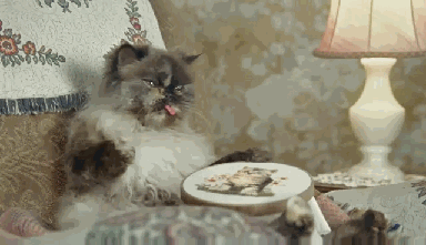 Vajon elkészülök vele karácsonyig?